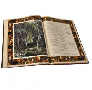 Русский лес: грибы и ягоды (кожаный переплет, золотой обрез) фото книги 5