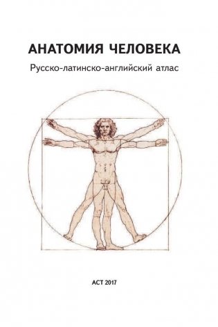 Анатомия человека. Русско-латинско-английский атлас фото книги 2
