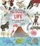 The Story of Life: A First Book about Evolution фото книги маленькое 2