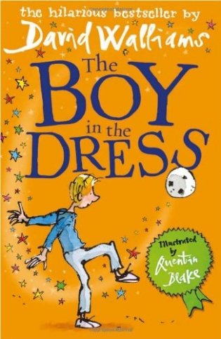Boy in the Dress фото книги
