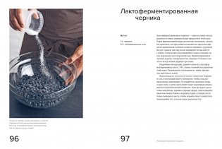 Гид по ферментации от ресторана Noma фото книги 7
