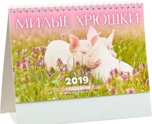 Календарь настольный "Милые хрюшки" на 2019 год фото книги