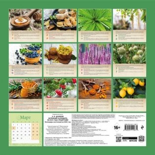 Целебный календарь на 2021 год с рецептами от фито-терапевта Н.И. Даникова фото книги 2