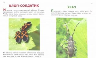 Стрекозы и другие насекомые + обучающие карточки фото книги 2