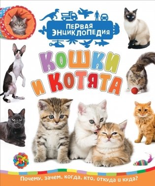 Кошки и котята. Первая энциклопедия фото книги