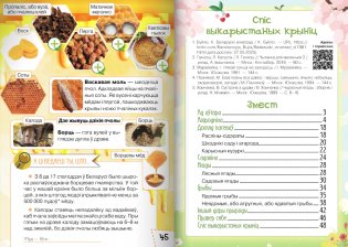 Ласункі агарода, саду, лесу. Узбагачаем слоўнікавы запас, выконваем заданні, пашыраем кругагляд (6-10 гадоў) фото книги 10