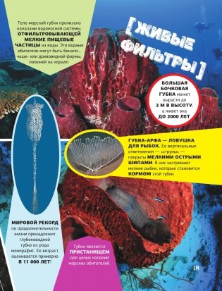 Большая энциклопедия о подводном мире. 500 фотографий и фактов фото книги 4