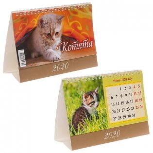 Календарь настольный перекидной на 2020 год "Домик. Котята", 200x140 мм фото книги