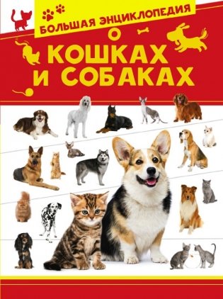 Большая энциклопедия о кошках и собаках фото книги
