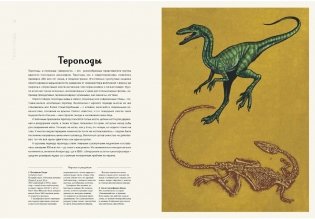 Динозавриум фото книги 5