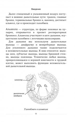 Дыхательные гимнастики при COVID-19. Рекомендации для пациентов. Восстановление легких до, во время и после коронавируса фото книги 10