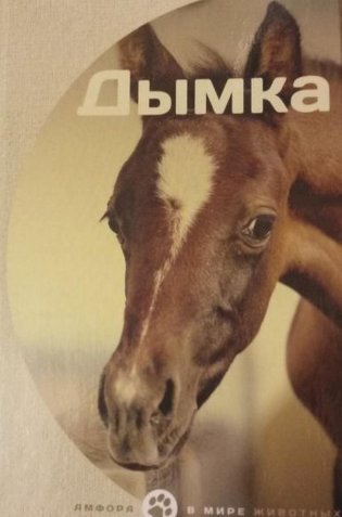 Дымка фото книги