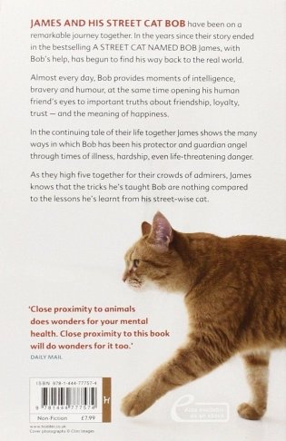 The World According to Bob. The Further Adventures of One Man and His Street-wise Cat фото книги 2