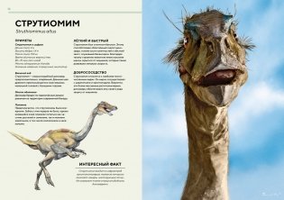 Динозавры в натуральную величину фото книги 7