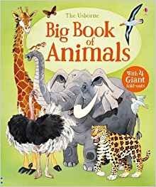 Big Book of Animals фото книги