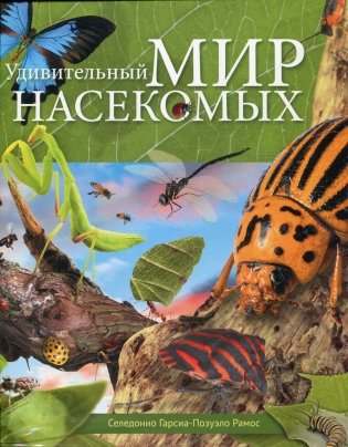Удивительный мир насекомых фото книги