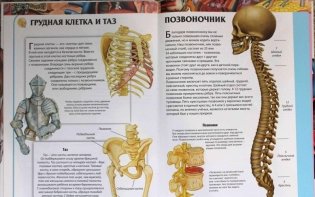 Детский атлас анатомии фото книги 2