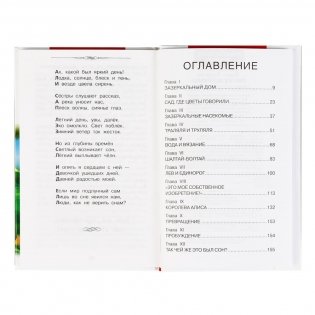 Алиса в зазеркалье фото книги 2