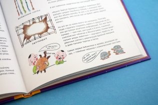 История, или Как узнать правду из того, что верно лишь наполовину фото книги 13