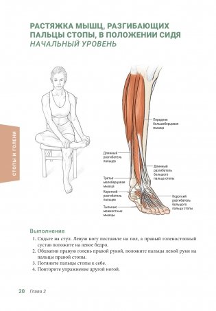 Анатомия упражнений на растяжку (новейшая редакция) фото книги 19