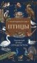 Птицы. Карманный атлас-определитель фото книги маленькое 2