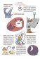 Наука не скука. Ученые ответы на детские вопросы фото книги маленькое 8