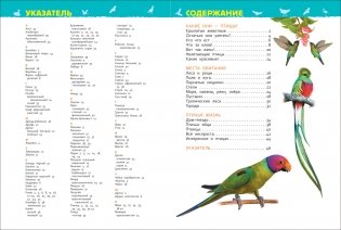 Птицы. Энциклопедия для детского сада фото книги 2