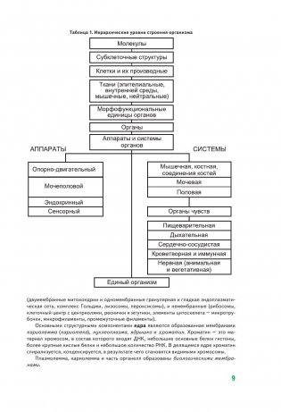 Анатомия человека фото книги 9