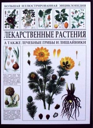 Лекарственные растения. Большая иллюстрированная энциклопедия фото книги