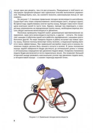 Анатомия велосипедиста. Иллюстрированное пособие: мышцы, связки суставы в движении фото книги 2