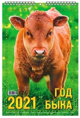 Календарь настенный "Год быка" на 2020 год (бык в траве) фото книги