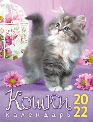 Календарь на магните на 2022 год "Кошки" фото книги