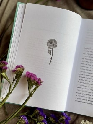 Балерина из Аушвица фото книги 5