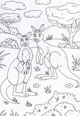 Раскраска с карандашами «Дикие животные» (комплект из 2-х предметов) фото книги 4