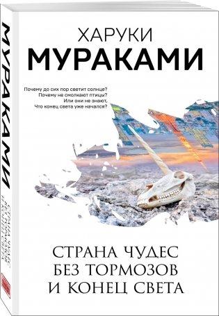 Страна Чудес без тормозов и Конец Света фото книги 2