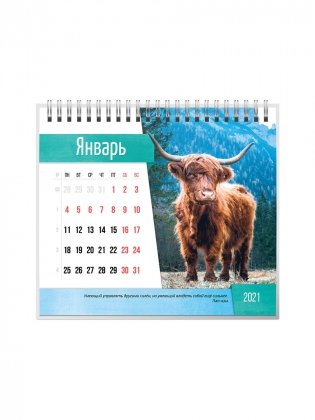 Календарь-домик на 2021 год "Символ года 2" (евро) фото книги