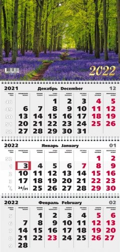 Квартальный календарь на 2022 год "Природа. 5", 305х680 мм фото книги 2