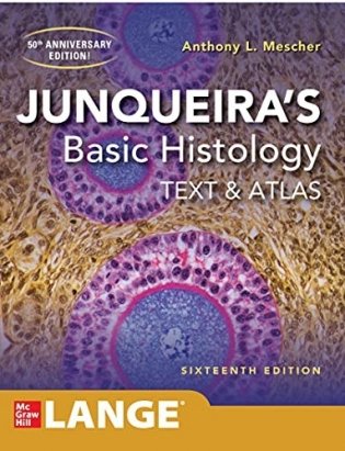 Junqueira's Basic Histology: Text and Atlas, 16 Edition фото книги