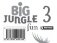Big Jungle Fun 3. Posters фото книги маленькое 2