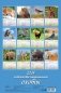 Календарь настенный перекидной на 2024 год "Особенности национальной охоты" (320х480 мм) на гребне с ригелем фото книги маленькое 8
