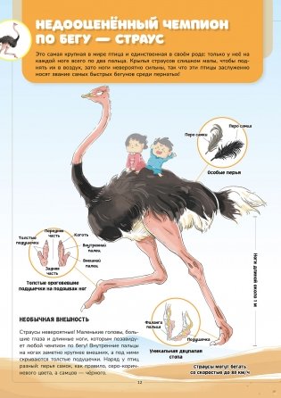 Мир животных. Наглядно и просто фото книги 4