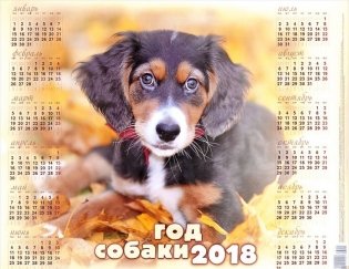 Настенный календарь "Год собаки" на 2018 год фото книги
