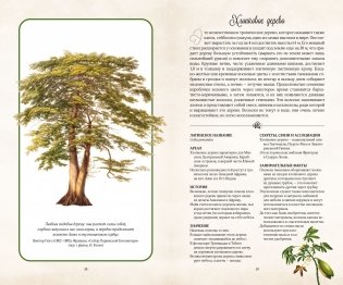 Тайный язык деревьев фото книги 8