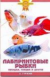 Лабиринтовые рыбки. Петушки, гурами и другие фото книги