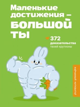 Маленькие достижения — большой ты. 372 доказательства твоей крутизны фото книги