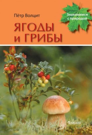 Ягоды и грибы фото книги