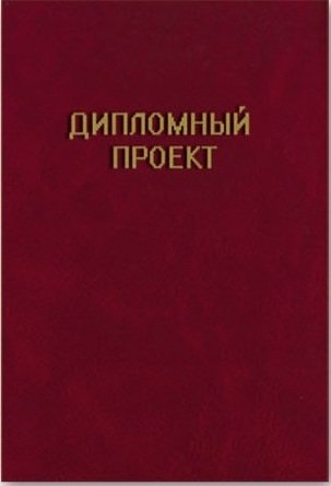 Папка для дипломной работы "Дипломный проект", А4, 100 листов, красная фото книги 2