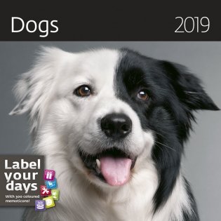 Dogs (Собаки). Календарь-органайзер на 2019 год фото книги