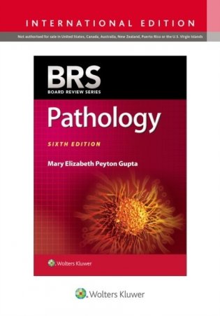 Brs Pathology 6E (Int Ed) Pb фото книги