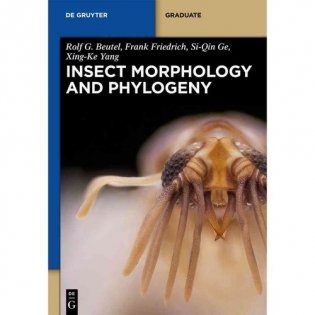 Insect Morphology and Phylogeny: A Textbook for Students of Entomology фото книги